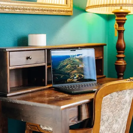 Villa Wagnerstays Badems Historic Villawhirpool Billiard Bad Ems